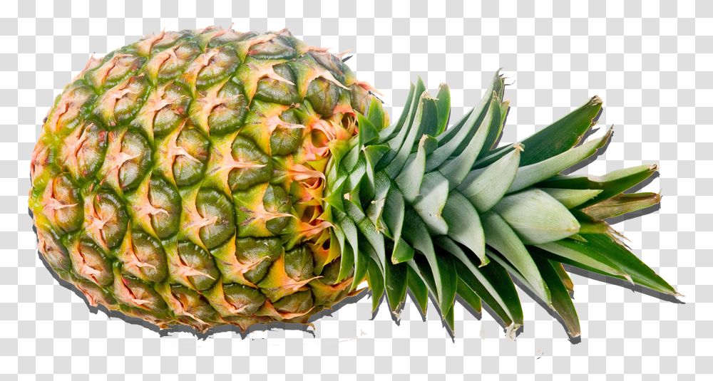 Fruit Images Pineapple, Plant, Food Transparent Png