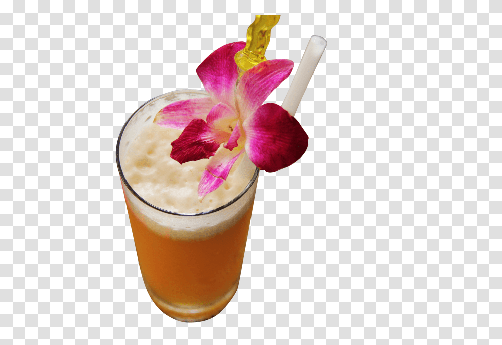 Fruit Juice Clip, Holiday, Plant, Beverage, Flower Transparent Png