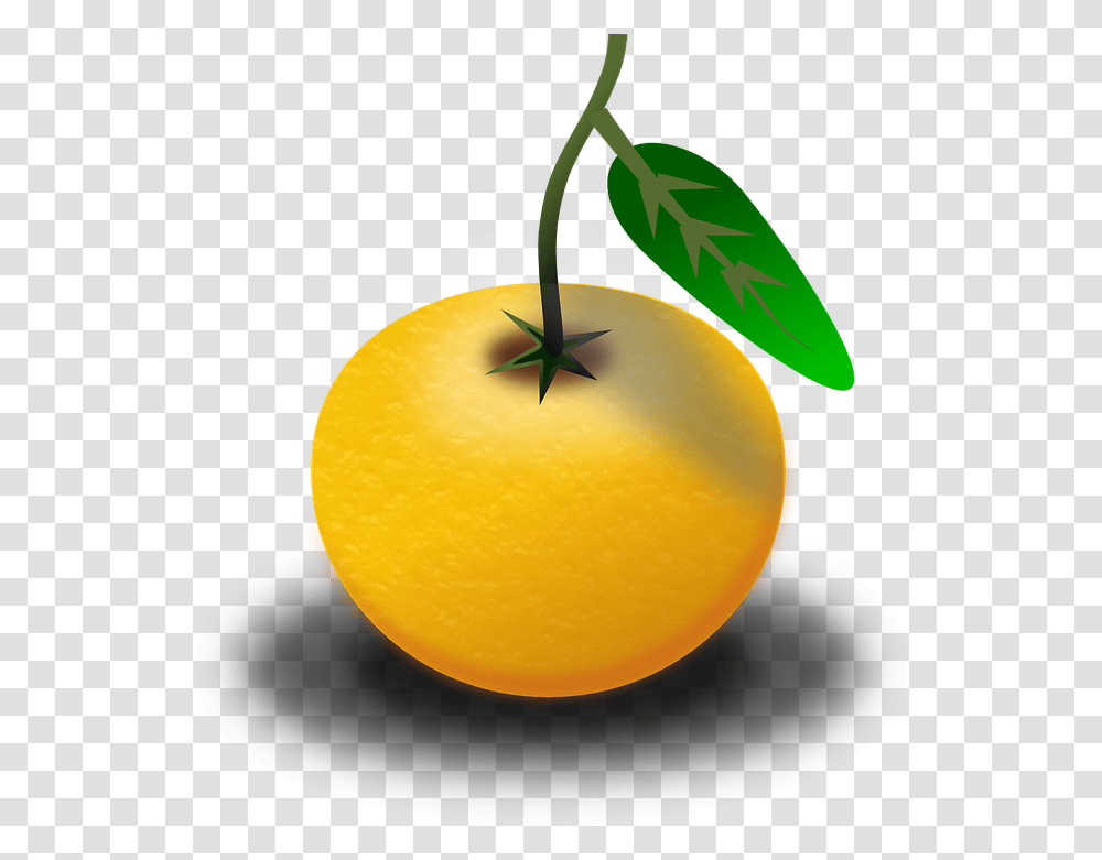 Fruit Juice Orange Free Vector Graphic On Pixabay Clipart Of Pomelo, Citrus Fruit, Plant, Food, Grapefruit Transparent Png