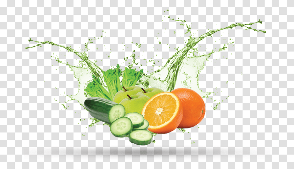 Fruit Juice Splash, Plant, Citrus Fruit, Food, Orange Transparent Png