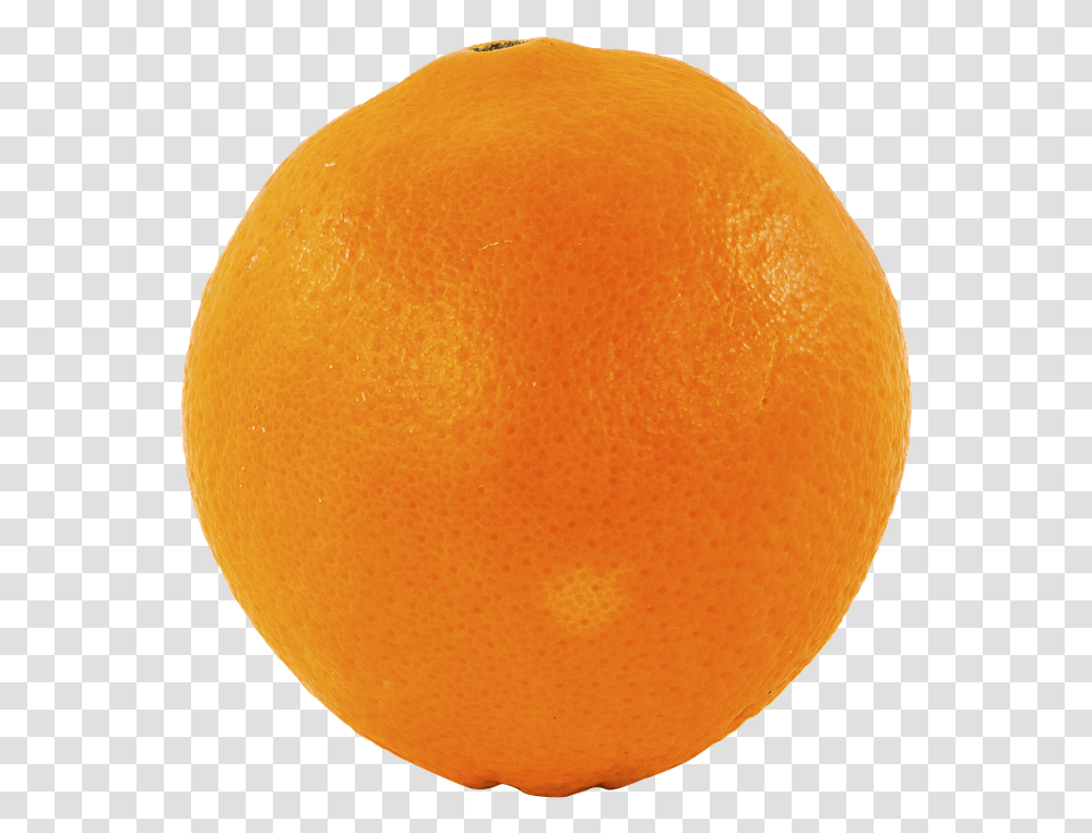 Fruit Orange Free Photo On Pixabay Blood Orange, Citrus Fruit, Plant, Food, Produce Transparent Png