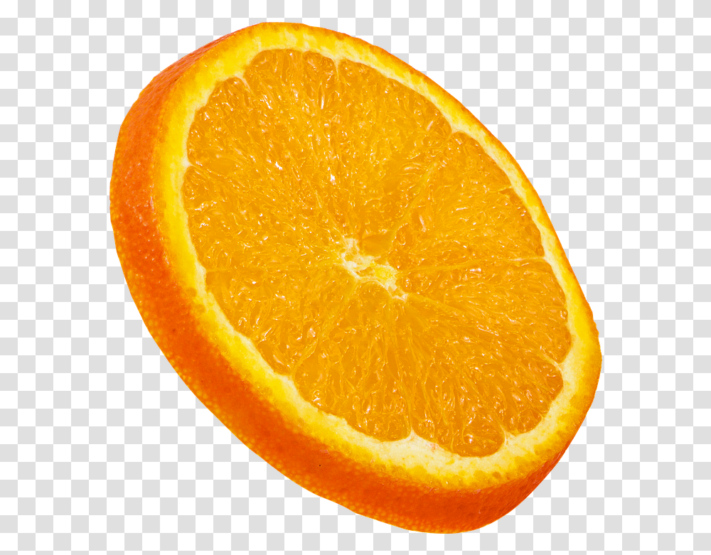 Fruit Orange Slice Free Photo On Pixabay Orange Slice, Citrus Fruit, Plant, Food, Grapefruit Transparent Png