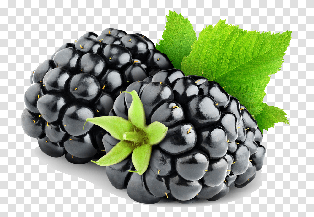 Fruit, Plant, Blueberry, Food, Grapes Transparent Png