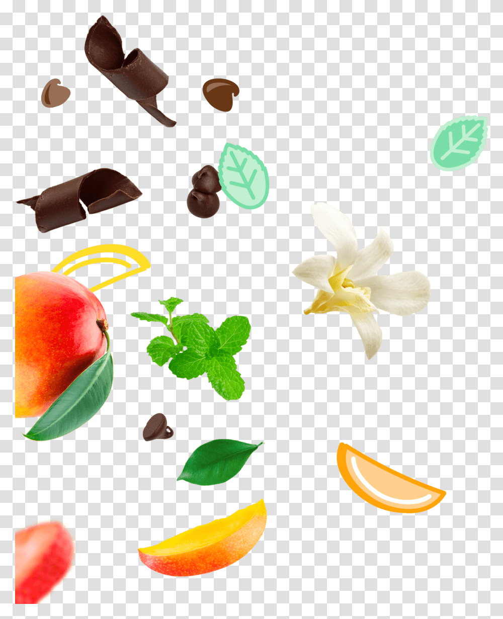 Fruit, Plant, Food, Peach, Produce Transparent Png
