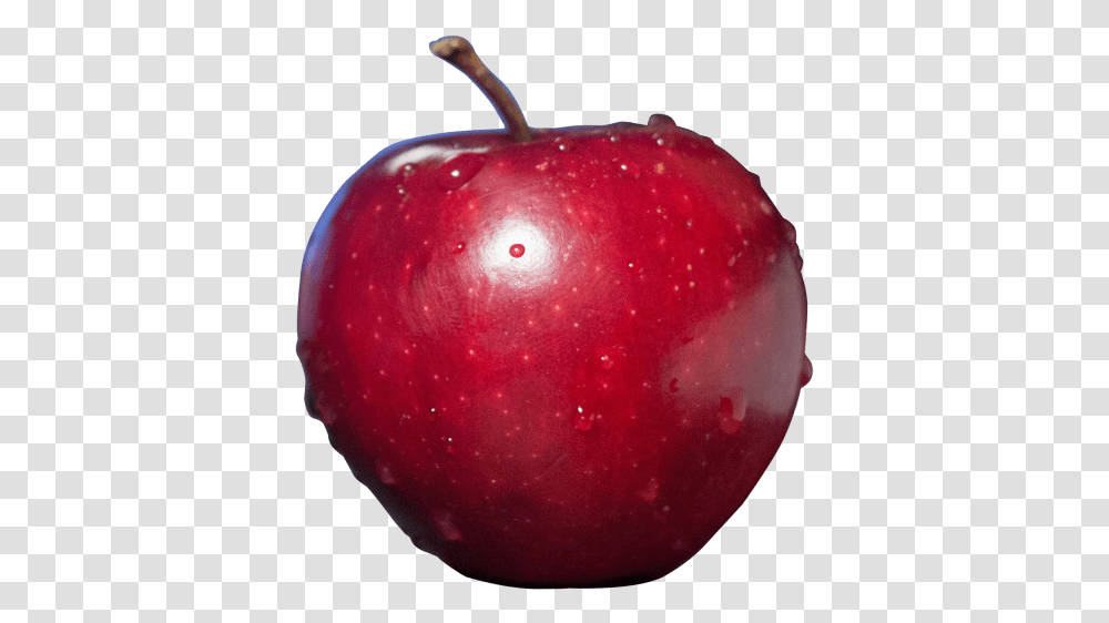 Fruit Red Apple Image Number One Apple Fruit Background, Plant Transparent Png