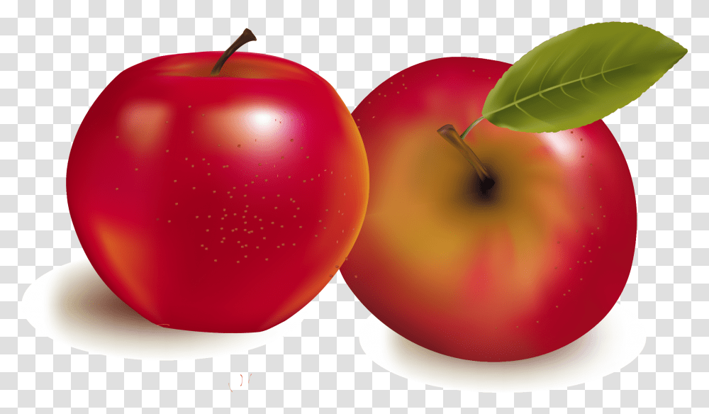Fruit Royalty Free Stock Photography Illustration, Plant, Food, Apple Transparent Png