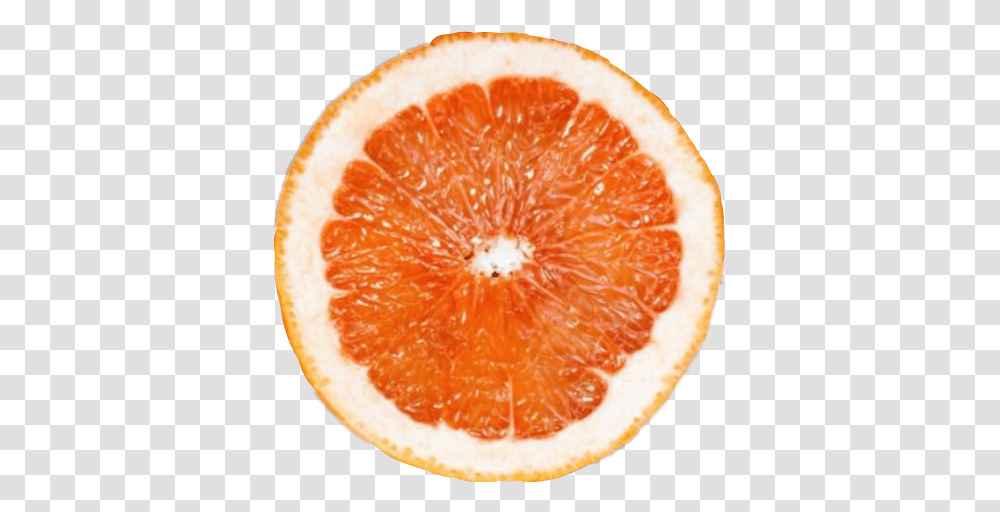 Fruit Slice Aesthetic Tumblr Colorf Pastel Orange, Grapefruit, Citrus Fruit, Produce, Food Transparent Png