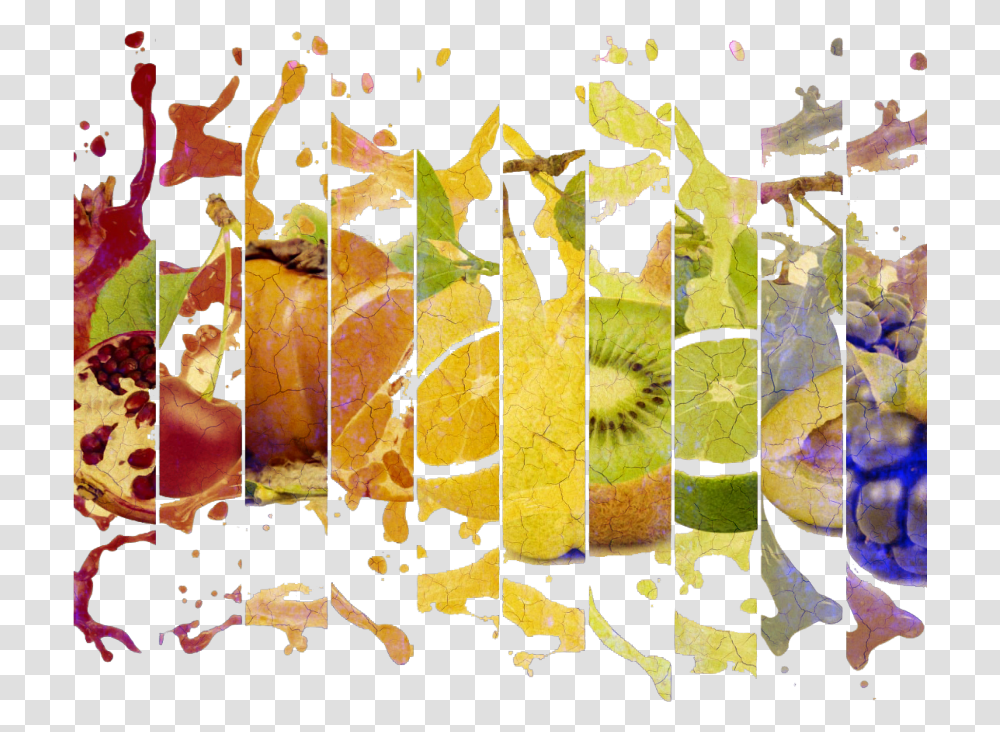 Fruit Splash Fruit Juice, Modern Art, Bird, Animal, Painting Transparent Png