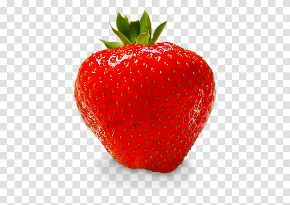 Fruit Strawberry, Plant, Food Transparent Png