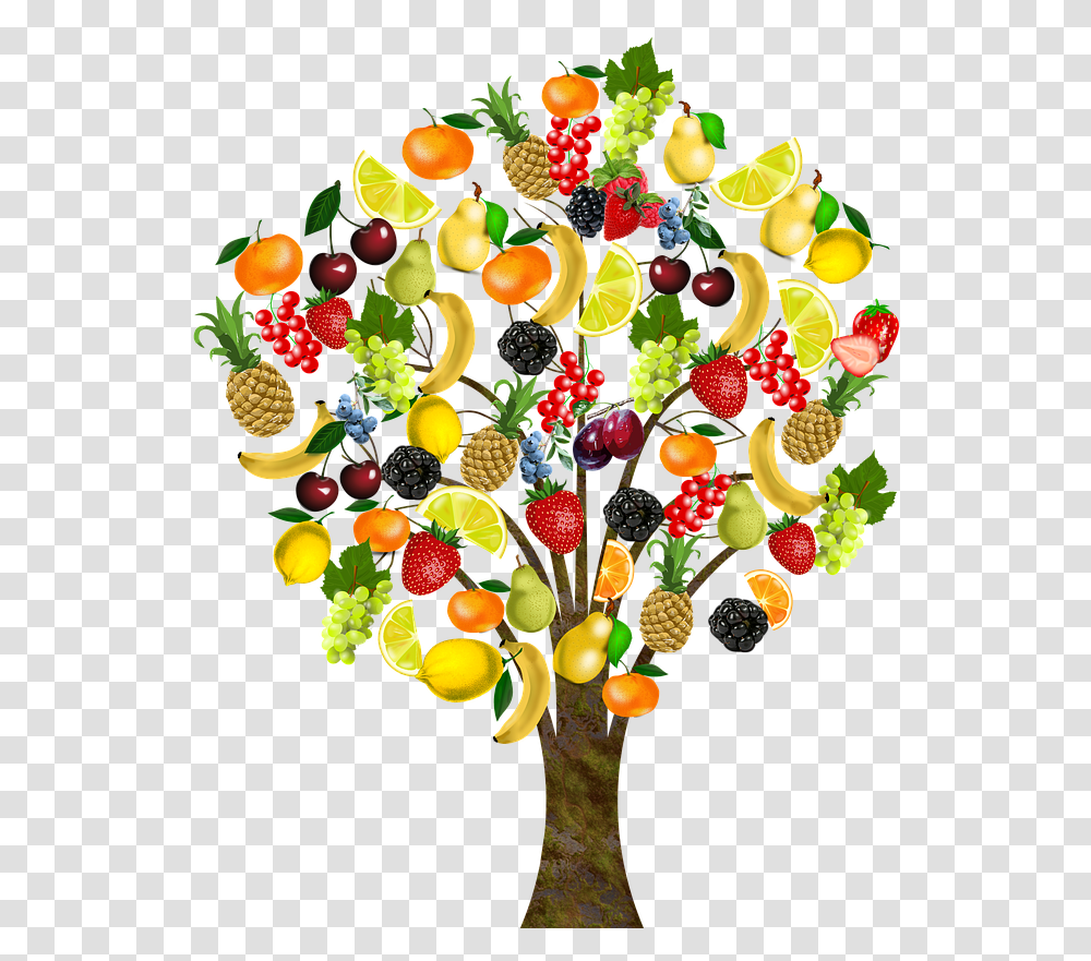 Fruit Tree Background, Plant, Food, Accessories, Accessory Transparent Png