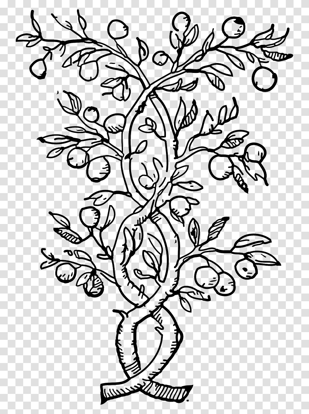 Fruit Tree Black And White, Snowflake, Rug, Nature, Pattern Transparent Png