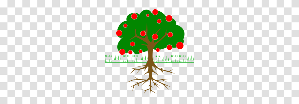 Fruit Tree Clip Art, Root, Plant, Flyer, Poster Transparent Png