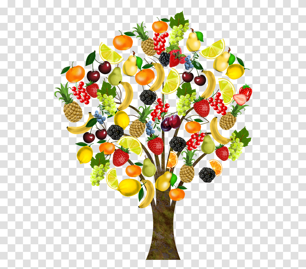 Fruit Tree Health Background Fruit Tree Clipart, Plant, Food, Accessories, Accessory Transparent Png