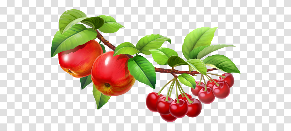 Fruit Tree Juice Fruit Splash, Plant, Food, Cherry, Leaf Transparent Png