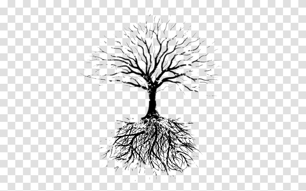 Fruit Tree Root Drawing Faribault Evangelical Free Church Tree Vector With Roots, Plant, Flower, Blossom Transparent Png