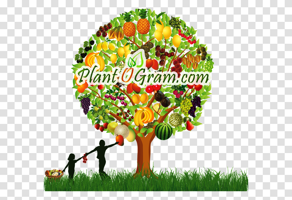 Fruit Trees, Plant, Grass Transparent Png