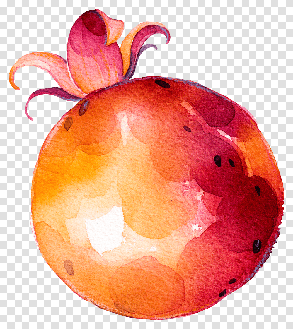 Fruit Vegetable Drawing Drawing Of Fruit And Vegtables Transparent Png