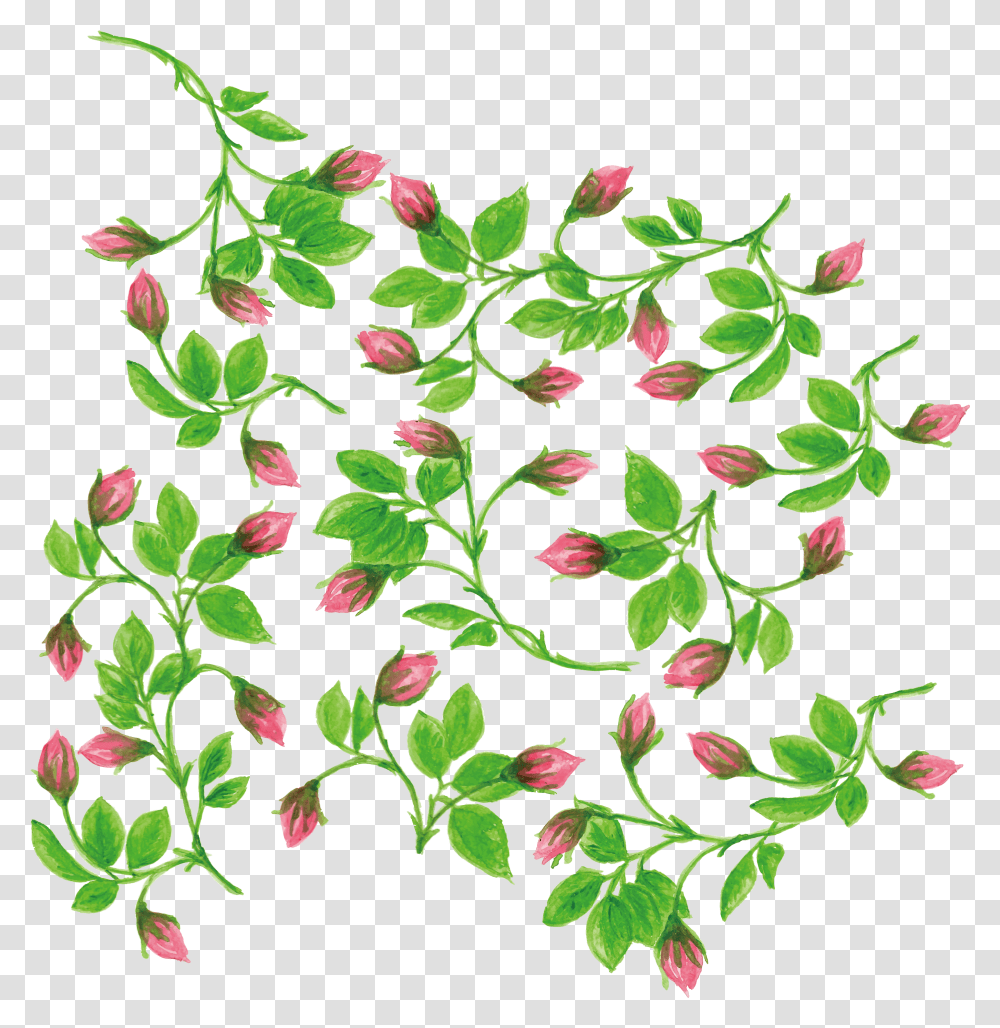 Fruit Water Splash Clipart Vine Vines And Flowers Watercolor, Floral Design, Pattern, Graphics, Leaf Transparent Png