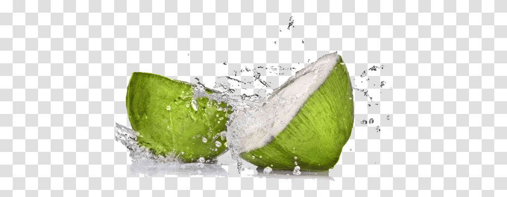 Fruit Water Splash Images Free Download Clip Refreshing Coconut, Plant, Food, Vegetable, Tennis Ball Transparent Png