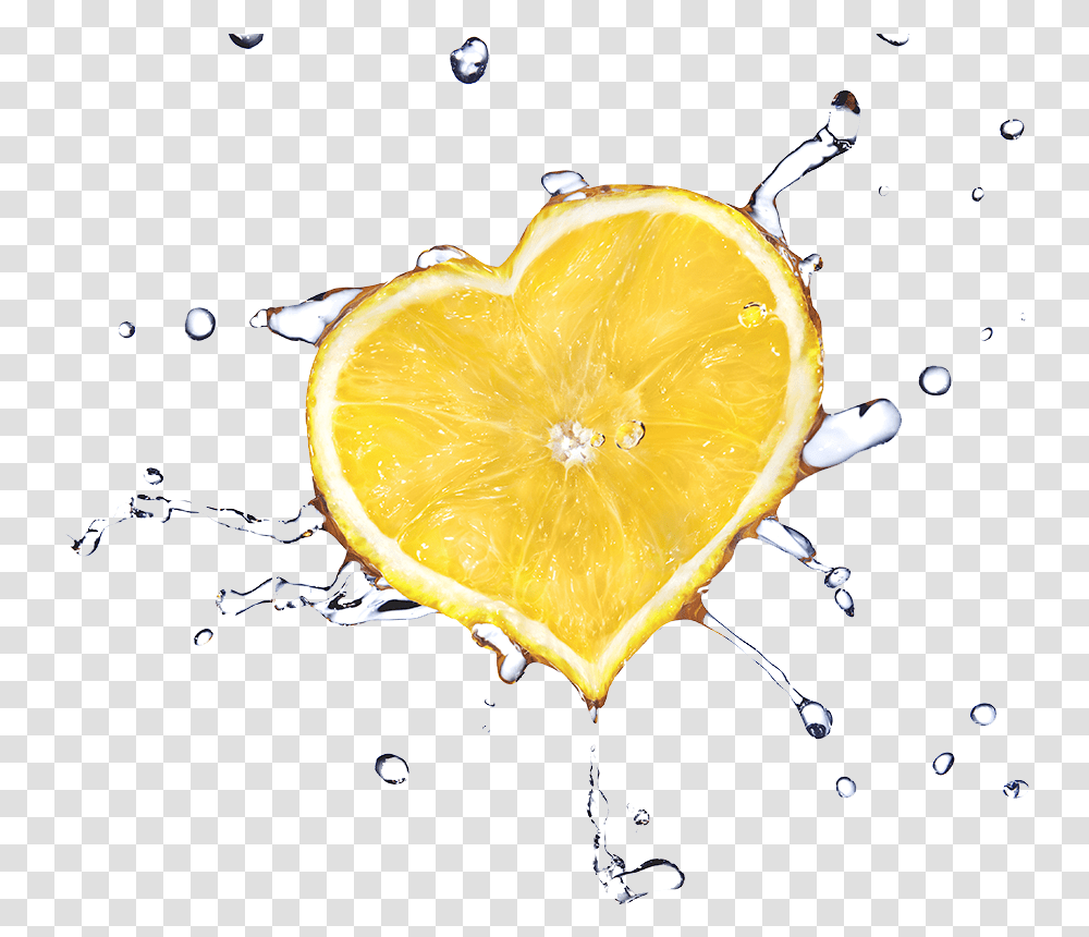 Fruit Water Spring Free Love Is A Lemon, Plant, Citrus Fruit, Food Transparent Png