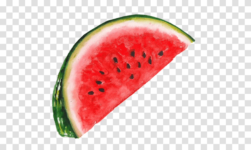 Fruit Watermelon, Plant, Food Transparent Png