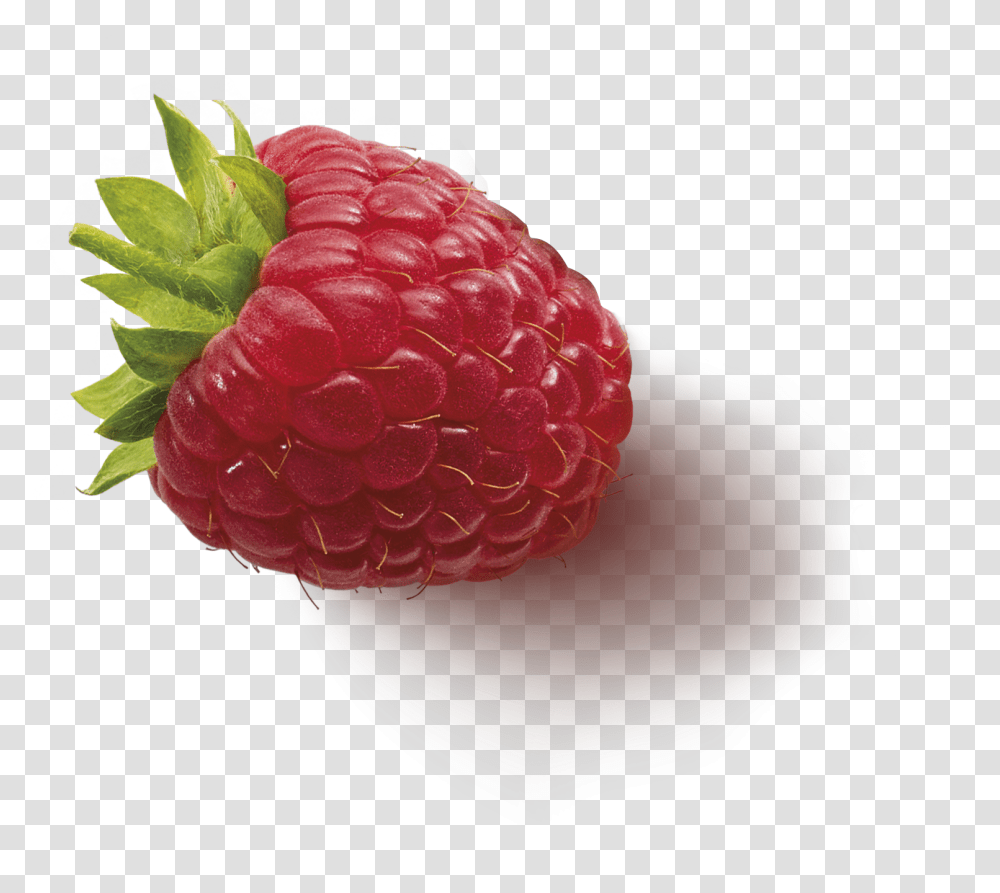 Fruitinfusion Forestfruit Ingredient2 Raspberry, Plant, Food, Strawberry, Rose Transparent Png