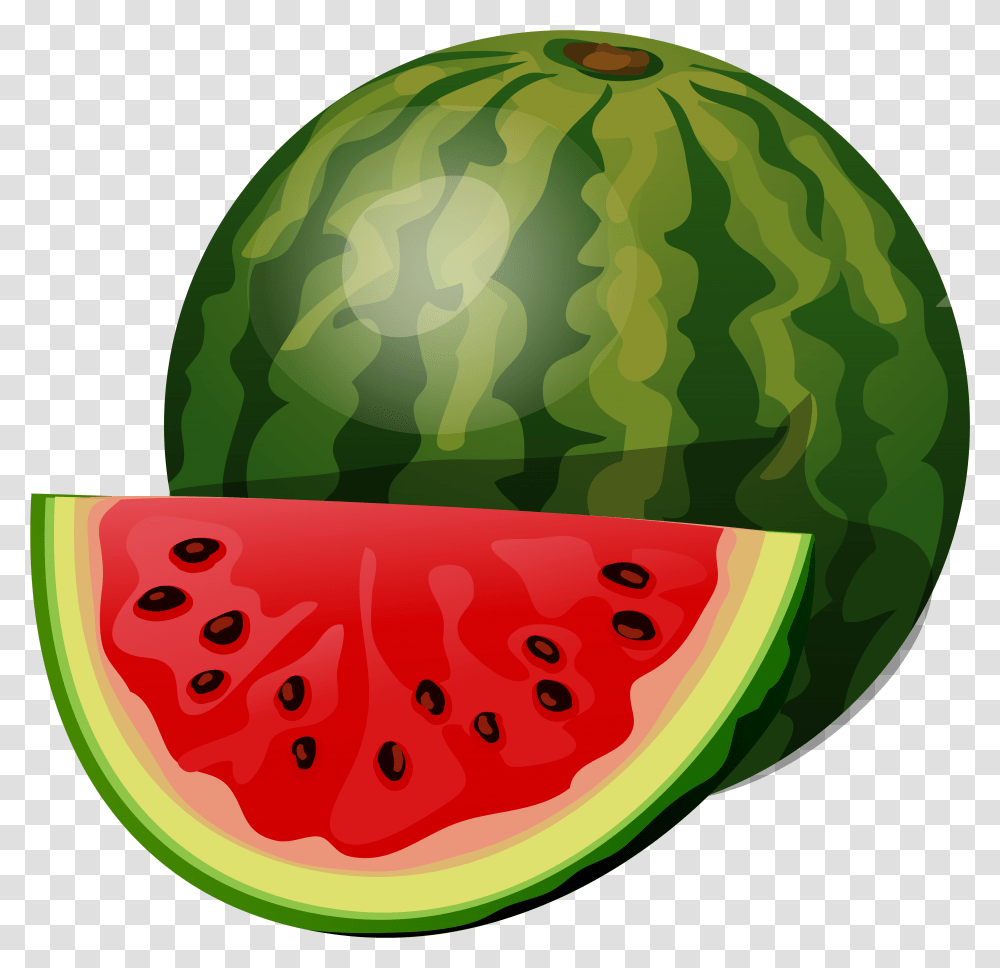 Fruiting Clipart Watermelon Clipart Of Watermelon, Plant, Food Transparent Png