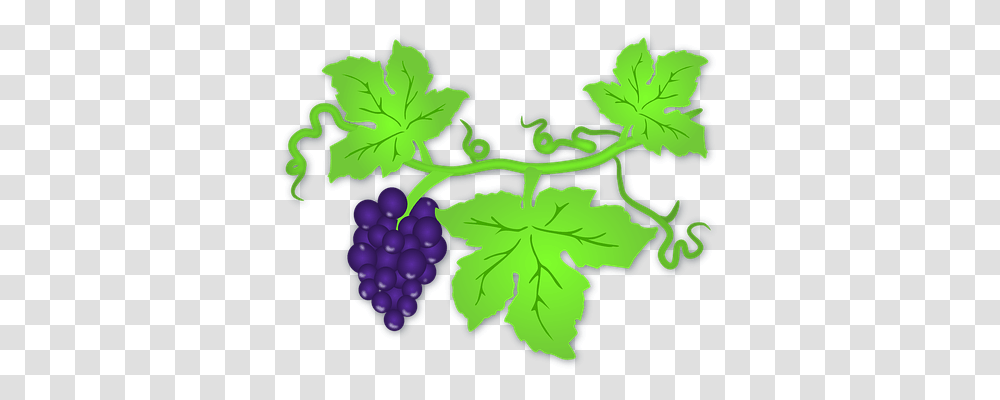 Fruits Food, Plant, Grapes, Leaf Transparent Png