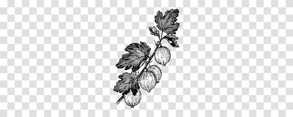 Fruits Nature, Gray, World Of Warcraft Transparent Png