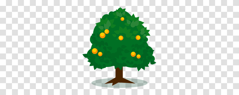 Fruits Nature, Tree, Plant, Christmas Tree Transparent Png