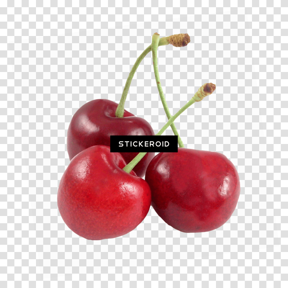 Fruits Cherry Sweet Cherry Pie Cherry, Plant, Food Transparent Png