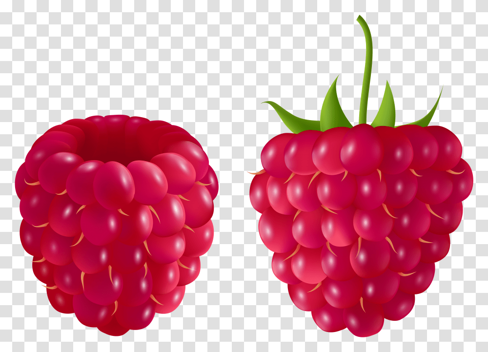 Fruits Clipart Background Raspberry Clipart Transparent Png
