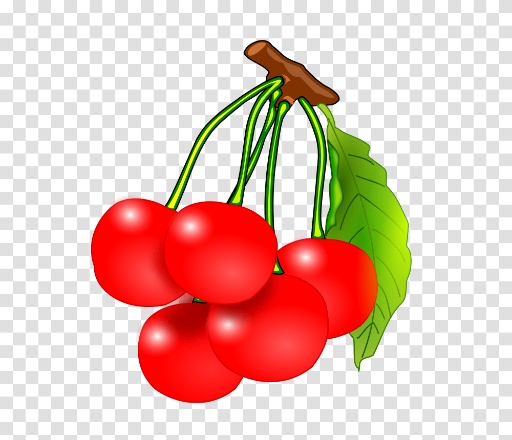 Fruits Clipart Cherries Clip, Plant, Food, Lamp, Cherry Transparent Png