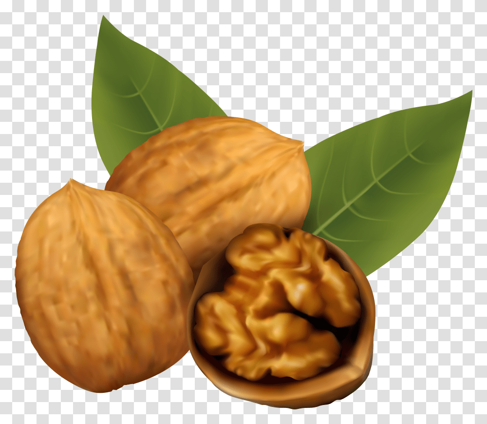 Fruits Clipart Nuts Walnut Clipart Transparent Png