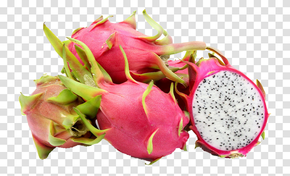 Fruits Dragon Fruit Imported Fruits In India, Plant, Flower, Rose, Geranium Transparent Png