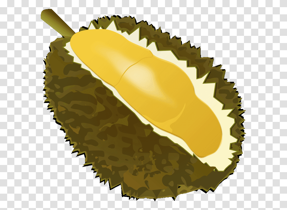 Fruits Durian Background Durian Icon, Plant, Produce, Food Transparent Png