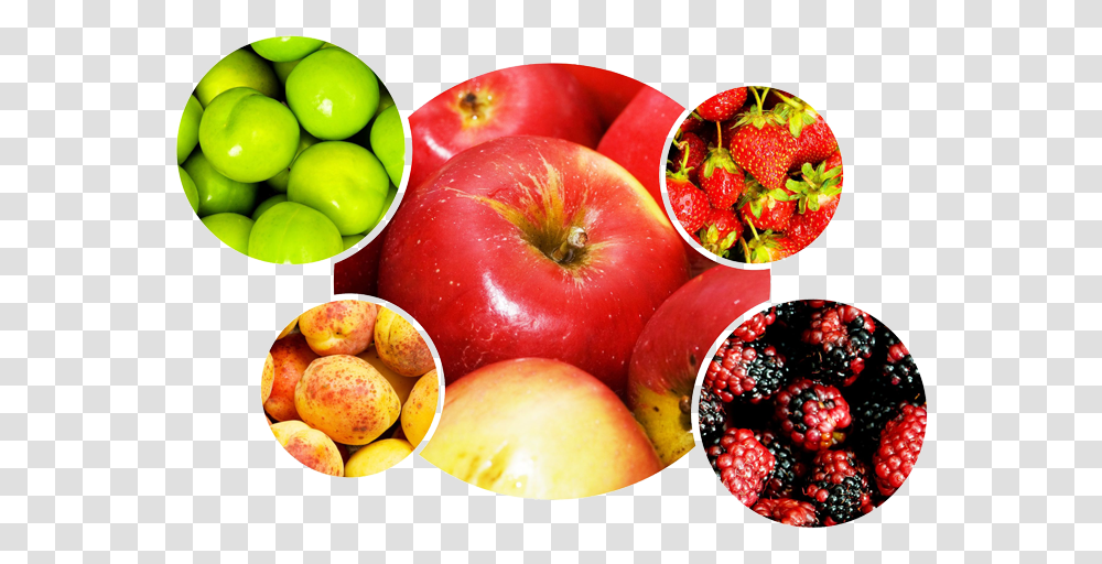 Fruits Et Legumes, Plant, Food, Strawberry, Apple Transparent Png