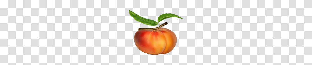Fruits Free Images, Plant, Food, Produce, Peach Transparent Png