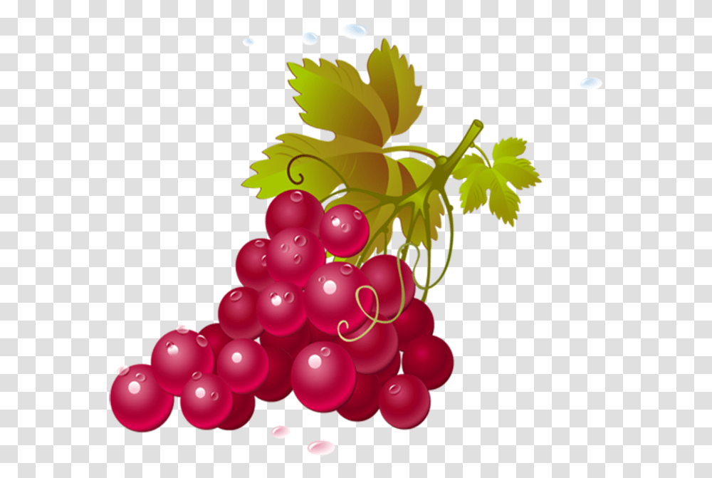 Fruits Image, Grapes, Plant, Food, Graphics Transparent Png