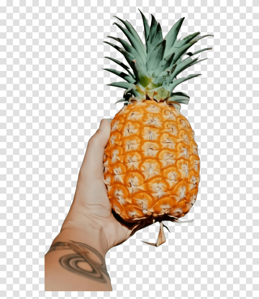 Fruits Images Real Pineapple, Plant, Food, Person, Human Transparent Png