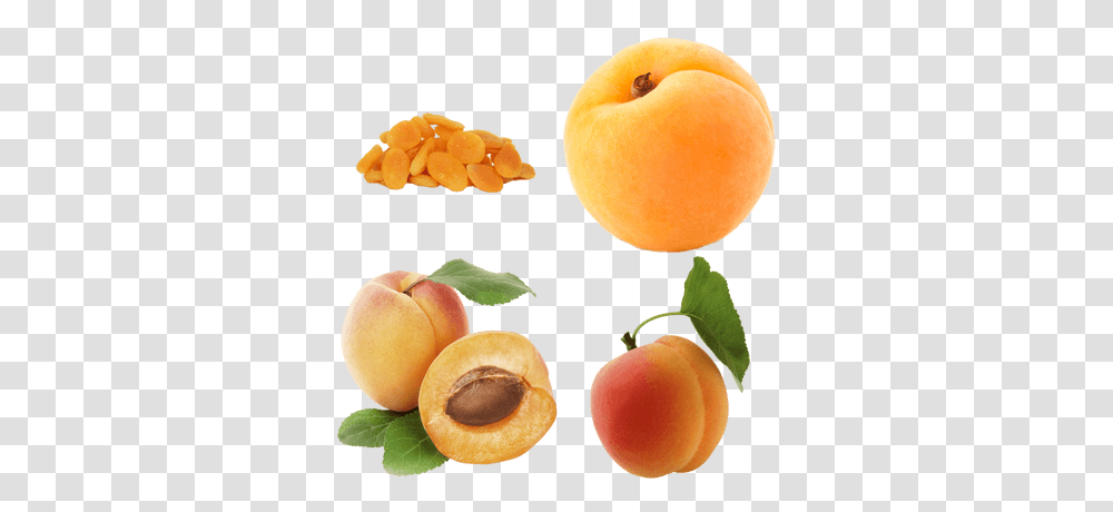 Fruits Images Stickpng Rex Orange County Apricot, Plant, Produce, Food, Peach Transparent Png