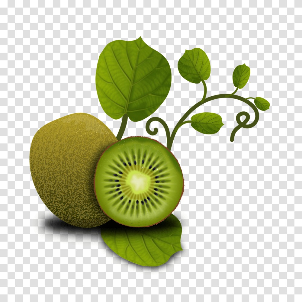 Fruits Kiwi Tropical Plants Vegetables, Food Transparent Png