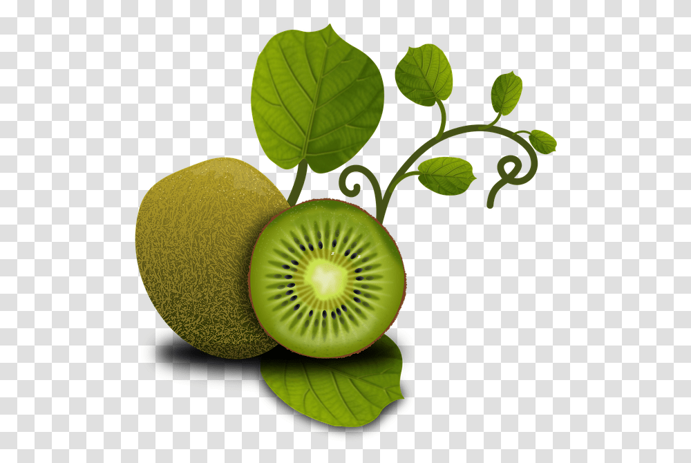 Fruits Kiwi Tropical Plants Vegetables Fruit Kiwi Leaves No Background, Food Transparent Png