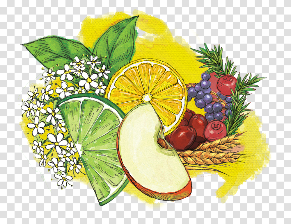 Fruits Natural Foods, Plant, Citrus Fruit, Grapes, Lime Transparent Png