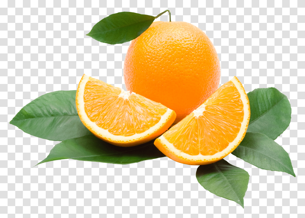 Fruits Orange & Clipart Free Download Ywd Orange Transparent Png