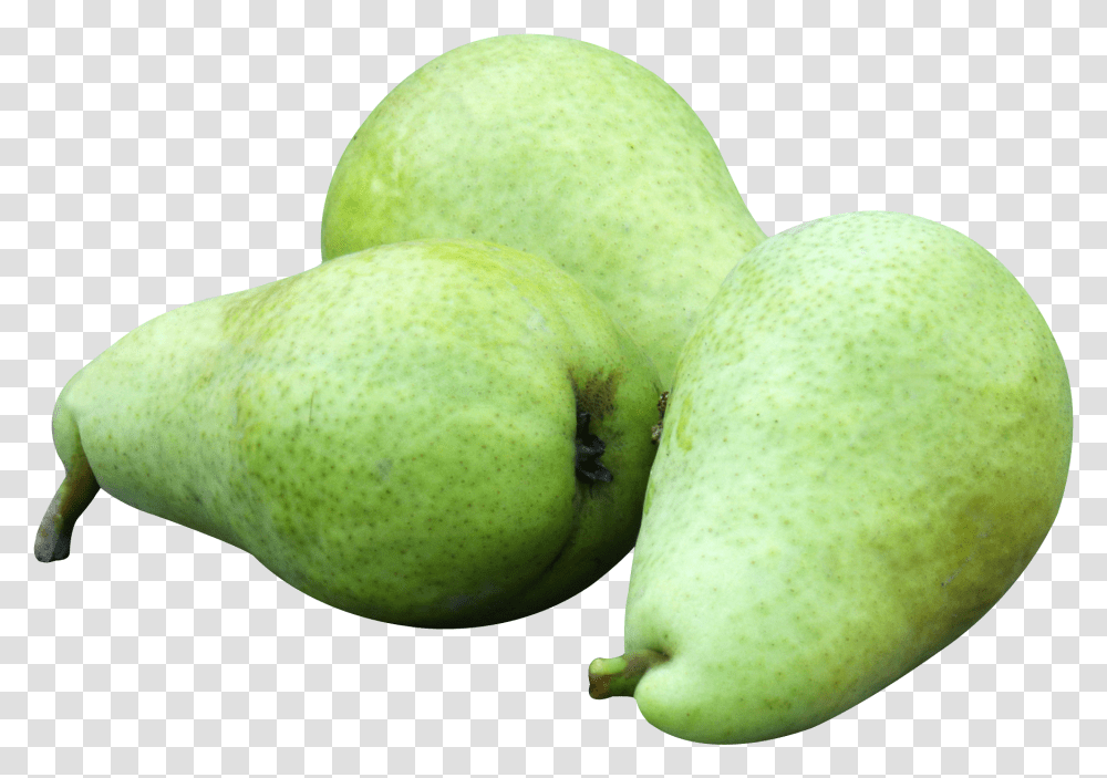 Fruits Ripe, Plant, Pear, Food Transparent Png