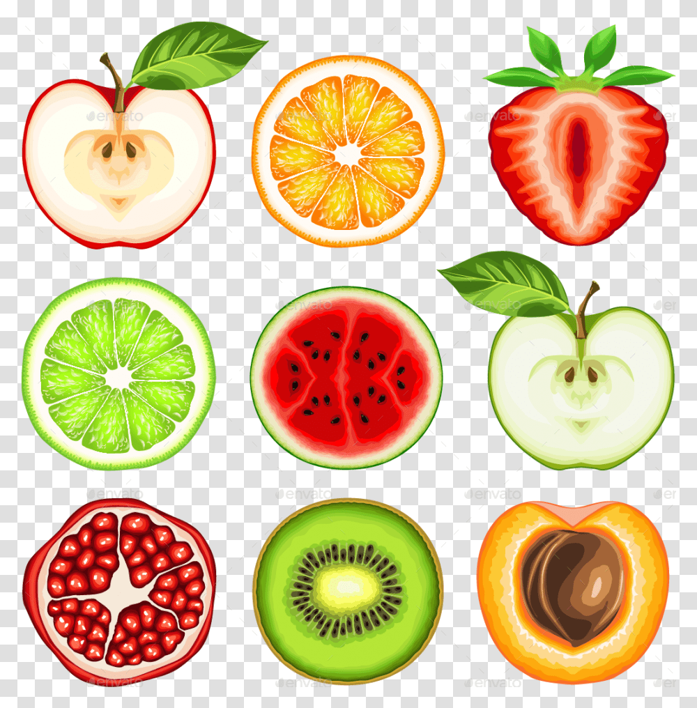 Fruits Slice Fruit Slices Painting, Plant, Food, Citrus Fruit, Grapefruit Transparent Png