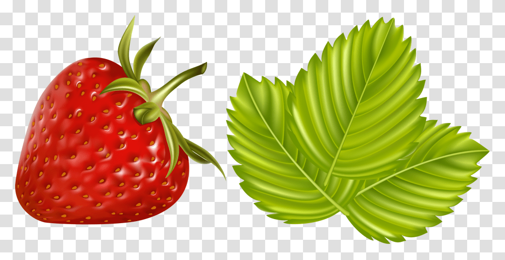 Fruits Vegetables And Berries Klubnika Multyashnaya, Plant, Leaf, Strawberry, Food Transparent Png