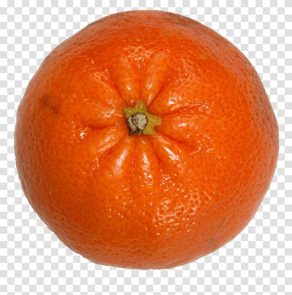 Fruitvitamin Ccitrustangerinepng Free Image From Tangerine, Orange, Citrus Fruit, Plant, Food Transparent Png