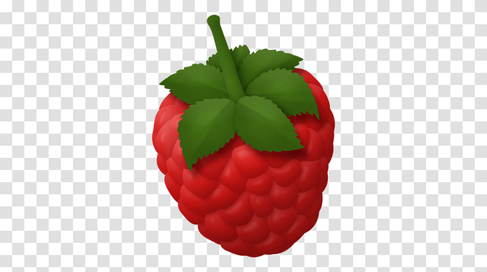 Fruity Cutie Berries Album Fruit And Raspberry, Plant, Food, Rose, Flower Transparent Png